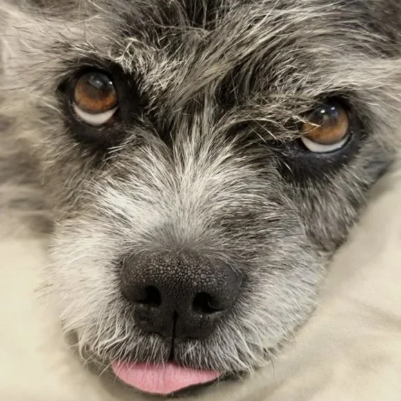 Hello Everyone 🥰💎❤️💖⚘️💍🥂 - Picture 3 of 17